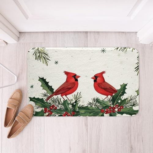 Feelyou Red Bird Bath Rug 20x32 for Shower