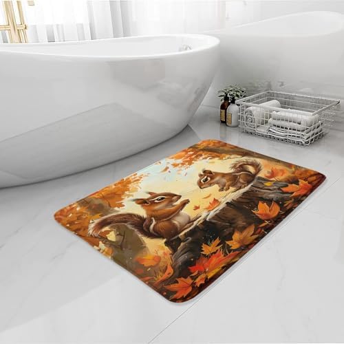 Fall Squirrel Bath Mat 16X24 Inch Rustic Decor