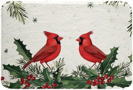 Feelyou Red Bird Bath Rug 20x32 for Shower