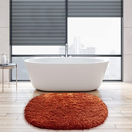 Gooddyiyukey Bathroom Rug 27x18 Inch Non Slip Microfiber Shaggy Absorbent Plush