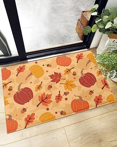 Chees D Zone Autumn Fall Door Mat 18x30in