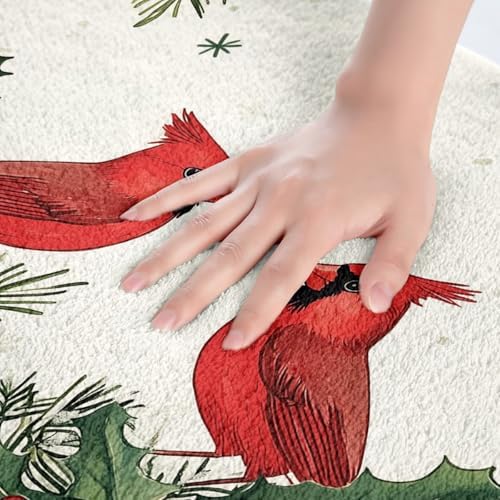 Feelyou Red Bird Bath Rug 20x32 for Shower