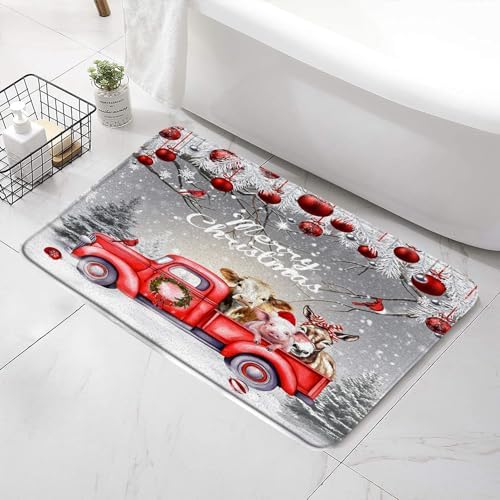 Farmhouse Christmas Bath Mat 24x16 Inch