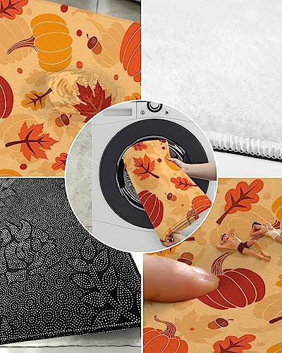 Chees D Zone Autumn Fall Door Mat 18x30in