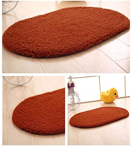 Gooddyiyukey Bathroom Rug 27x18 Inch Non Slip Microfiber Shaggy Absorbent Plush