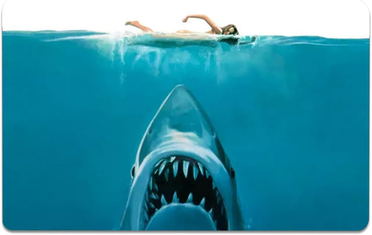 Eaarliyam Shark Rug 16x24 Waterproof Bath Mat with Anti-Slip Bottom