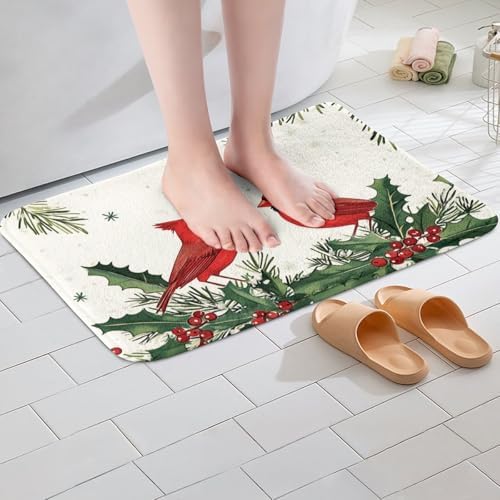Feelyou Red Bird Bath Rug 20x32 for Shower