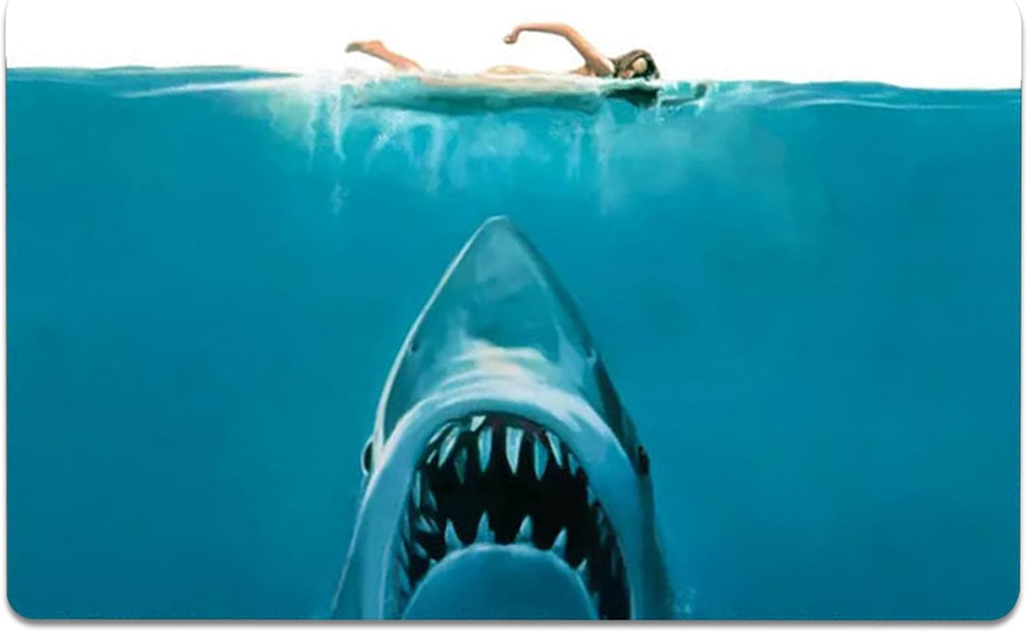 Waterproof Shark Rug 16x24 for Bathroom Decor