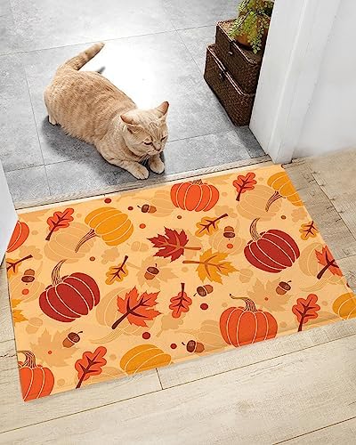 Chees D Zone Autumn Fall Door Mat 18x30in