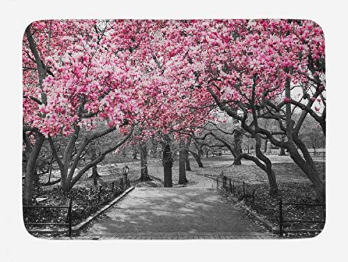 Lunarable NYC Bath Mat - Blossoms in Central Park Landscape