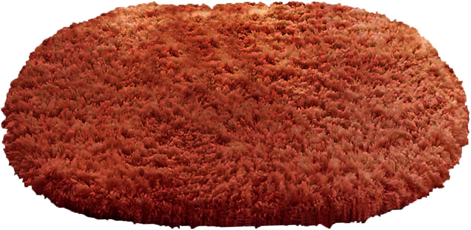Gooddyiyukey Bathroom Rug 27x18 Inch Non Slip Microfiber Shaggy Absorbent Plush