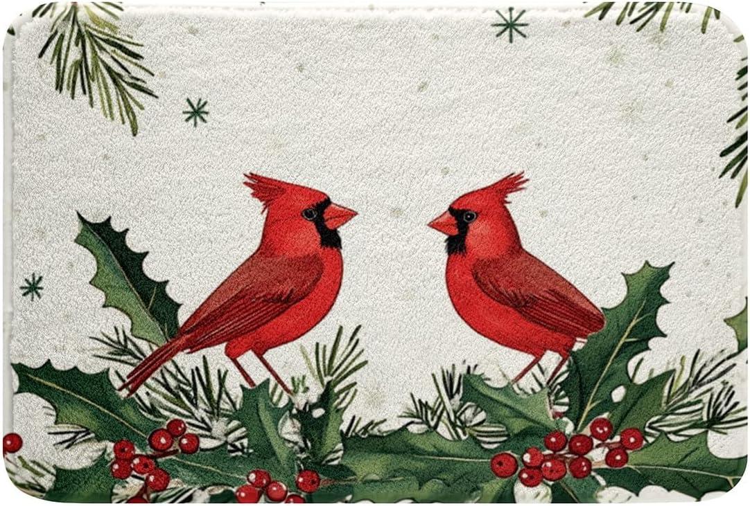 Feelyou Red Bird Bath Rug 20x32 for Shower